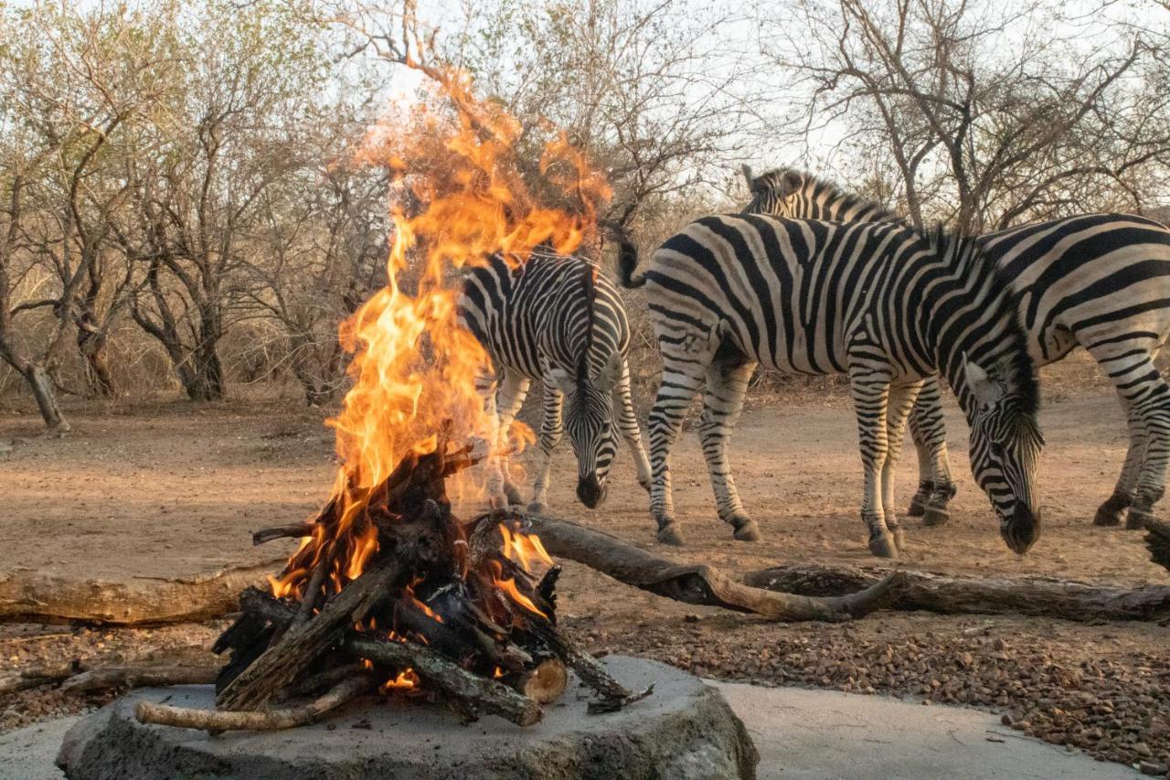 Hello Kruger Hideaway Cottage & Skilpad Studio Marloth Park Exterior foto